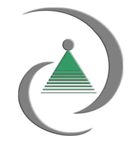 Digital Isys Corporation logo