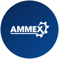 Ammex Isupport International Corporation logo