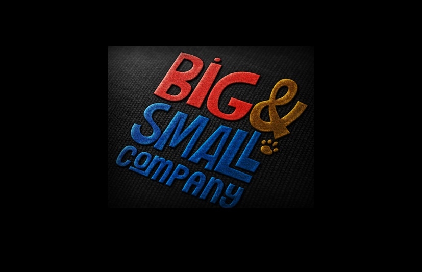 Big & Small Co logo