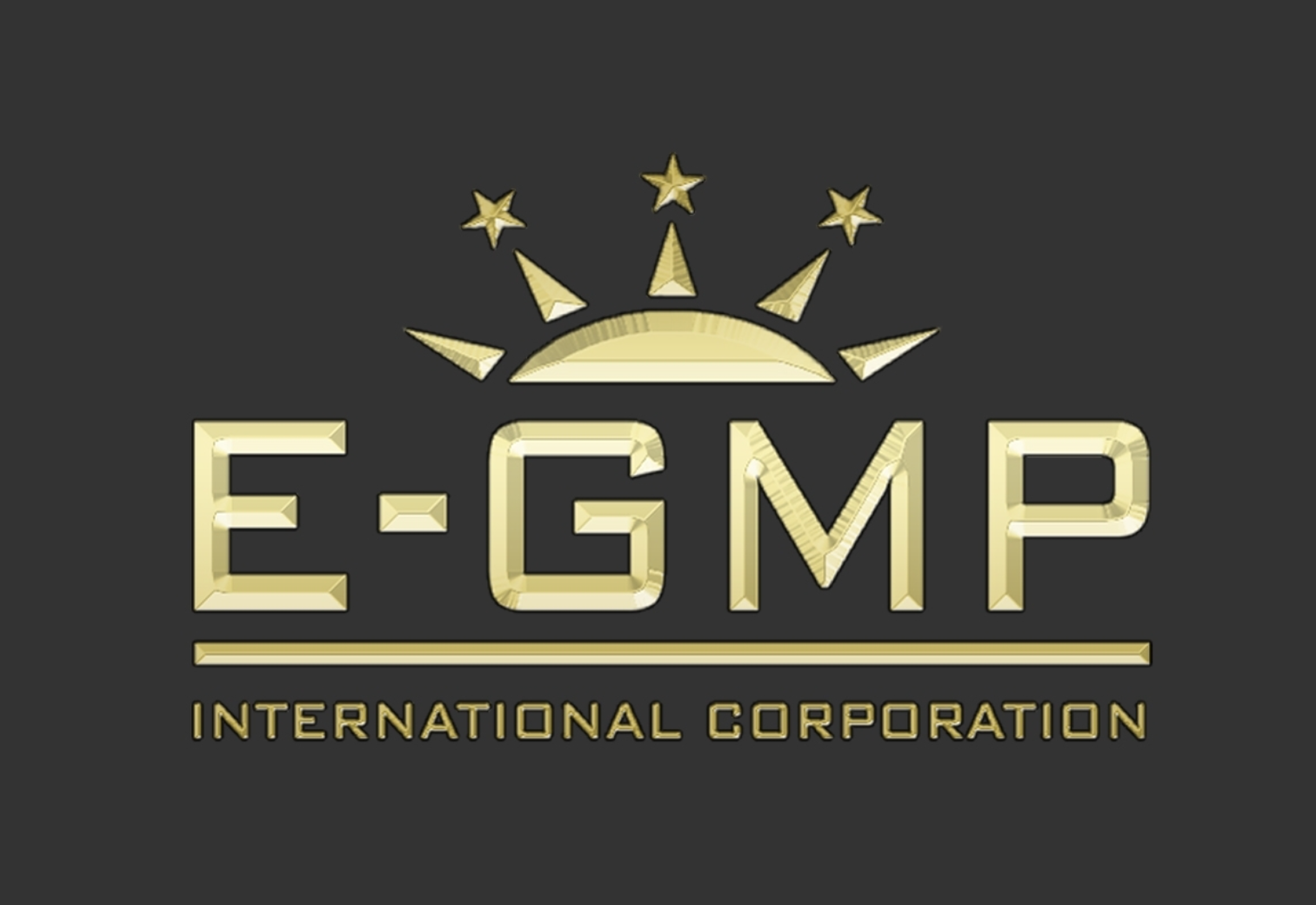 E Gmp International Corporation logo