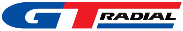 Kingstone Maxmile Inc. logo
