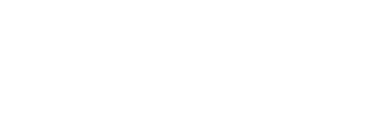 Sunbeams Impex Inc logo