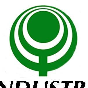 Pasig Industries, Inc. logo