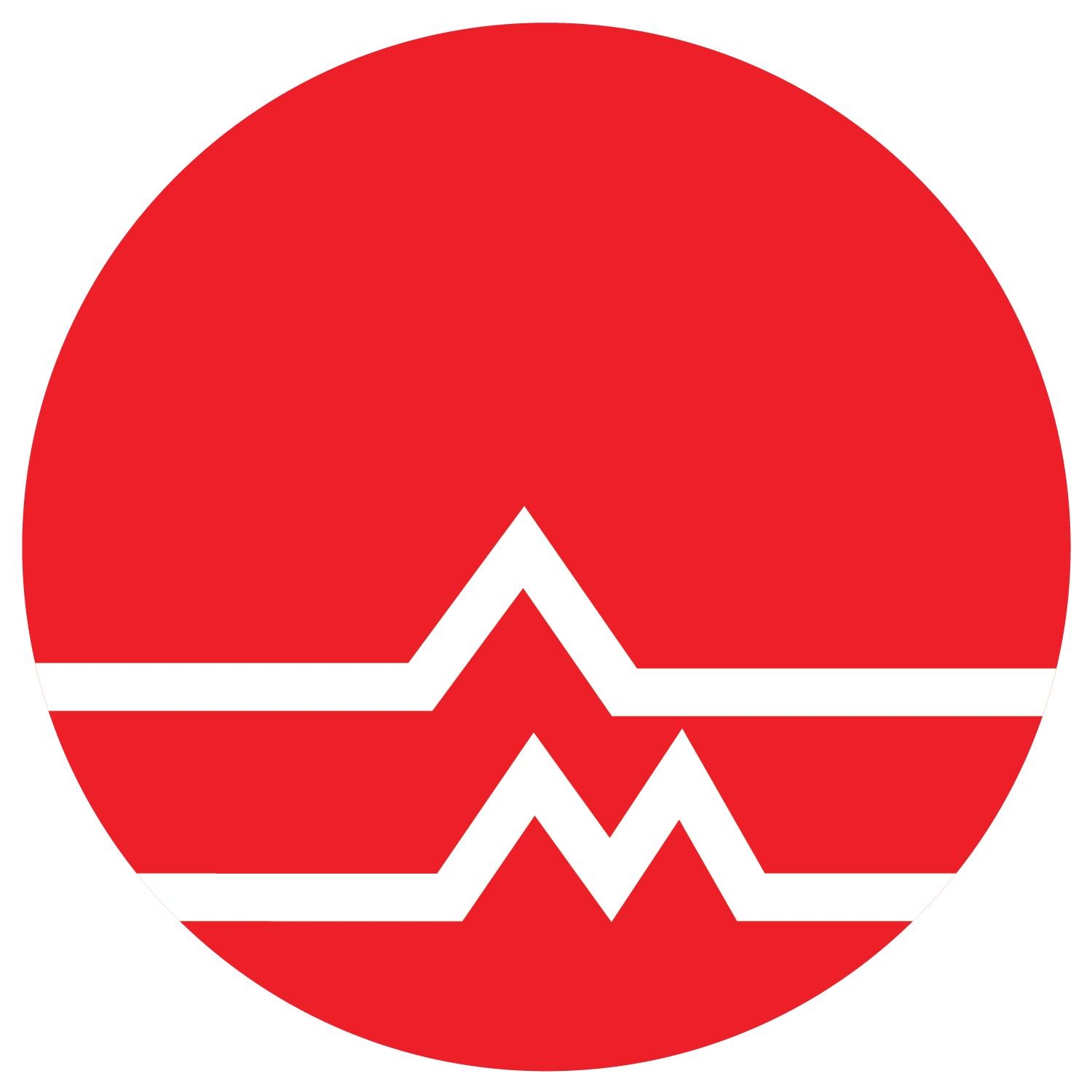 Artes Myer Phils, Incorporated logo