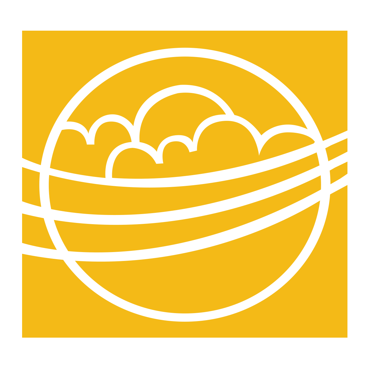 Omico Corporation logo