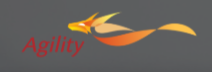 AGILITY INTERNATIONAL LOGISTICS INC. logo