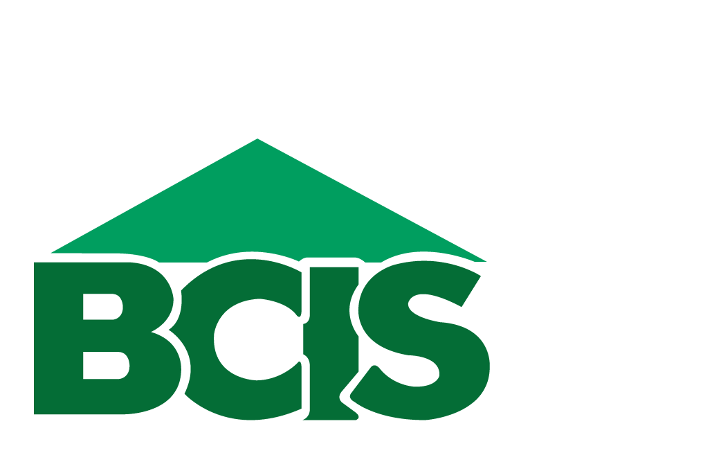 Brixton Construction And Industrial Supply logo