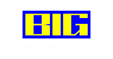 BIG PHILIPPINES CORPORATION logo