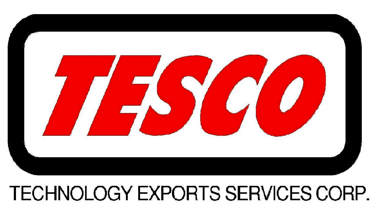 Technology Exports Services Corporation logo