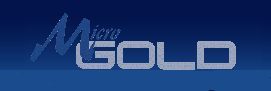 MICROGOLD INFORMATION SOLUTION AND PRODUCTS INC. logo