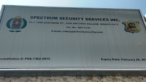 Spectrum Security Services logo