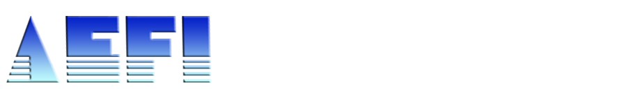 Aero Eagle Freight Inc logo