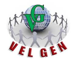 VEL GEN. CONTRACTOR AND DISTRIBUTION CORP. logo