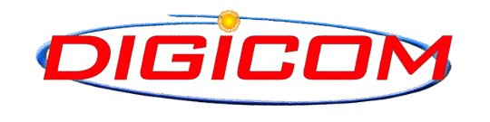 Digital Network Communicationand Computers, Incorporated logo