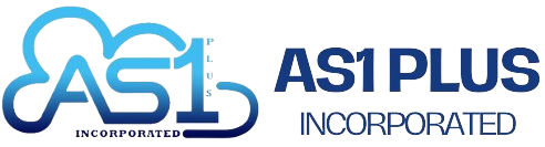 FIRST ACEPLUS CORP logo