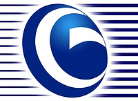 Worldlion Global Company logo
